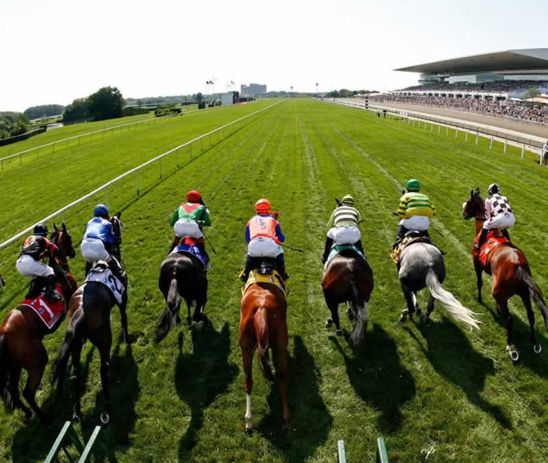 How To Place A Bet On Horse Racing
