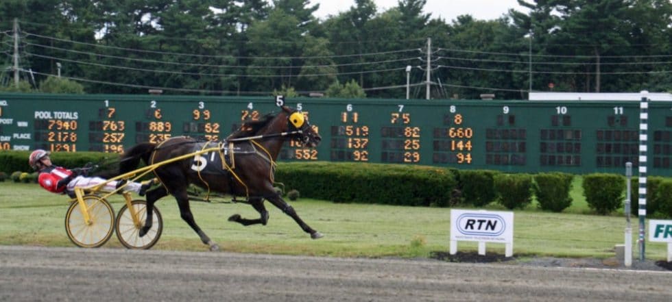 A New Sportsbook Is Racing Into Freehold Raceway