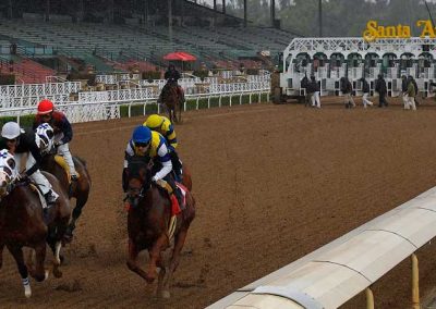 Newly Reopened Horse Racing Tracks Draw Huge Betting Handles