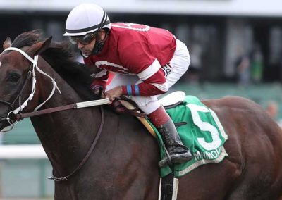 Pneumatic Trainers Put Focus On Preakness Stakes, Not Kentucky Derby