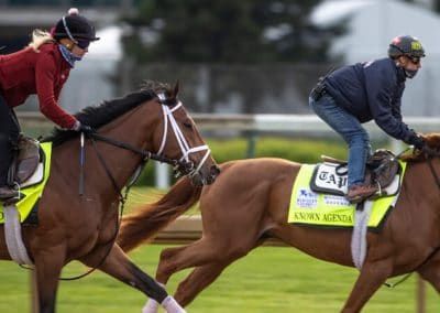 LSB Interview: Handicapping Pro Paul Matties Talks Kentucky Derby Betting